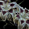 Glowing Flowers